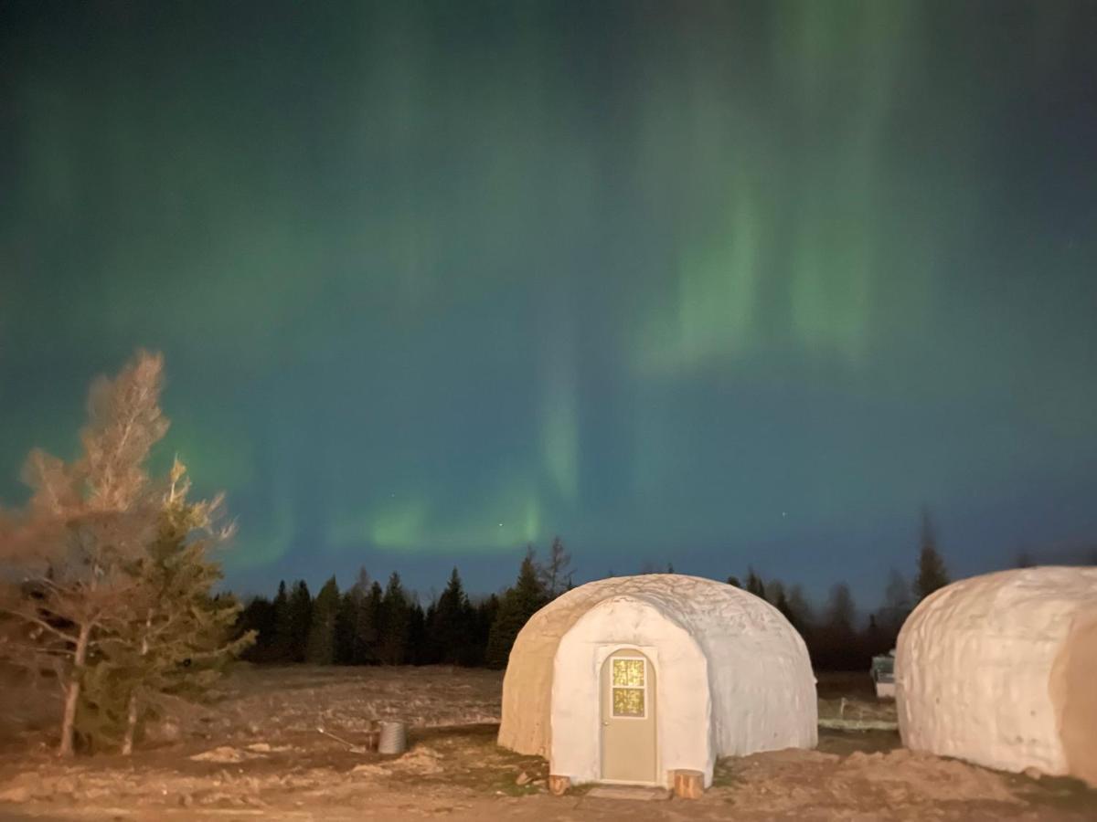 North Adventure Inn Cochrane Exteriér fotografie