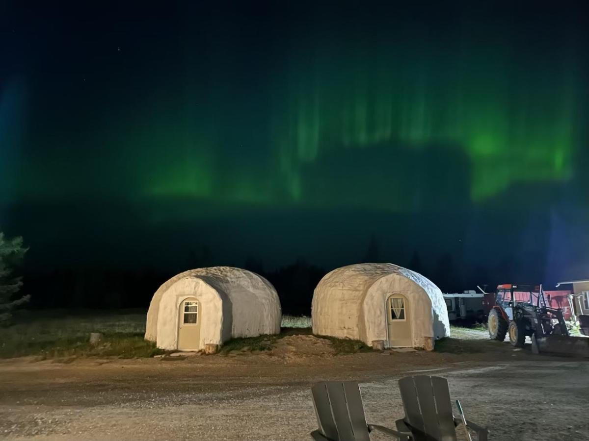 North Adventure Inn Cochrane Exteriér fotografie